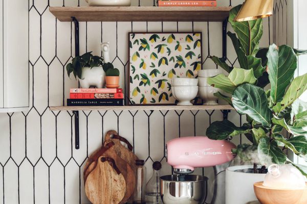 在Fiddle叶旁边打开搁架。