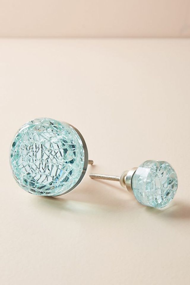 人类学Vista的旋钮