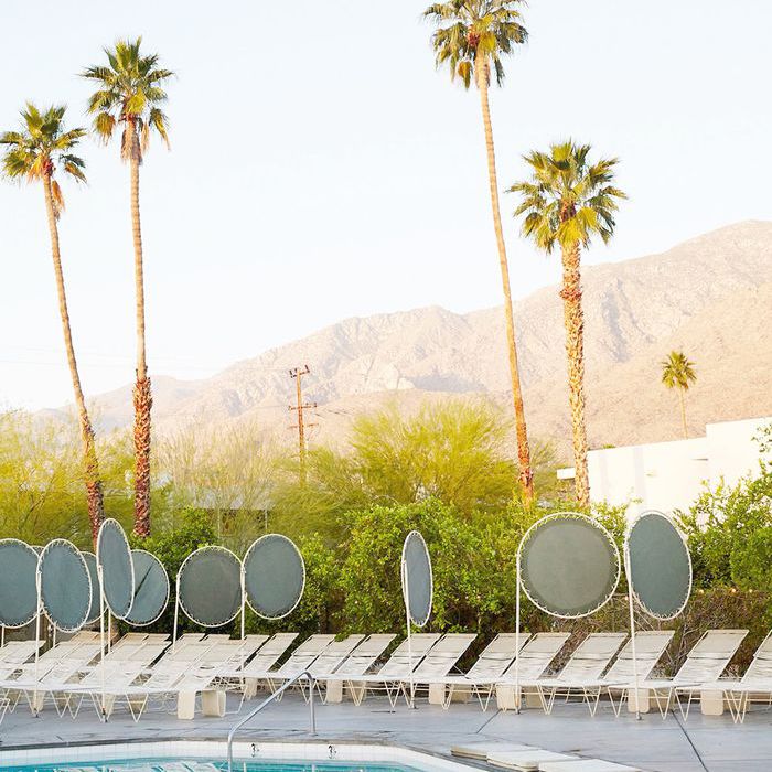 事情在棕榈泉做