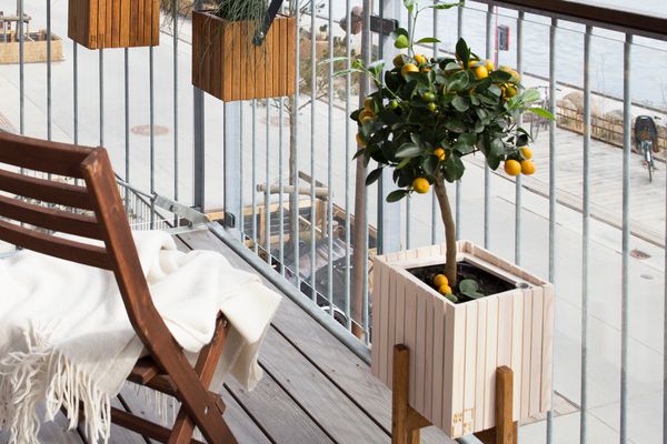阳台有木制折叠椅和盆栽植物