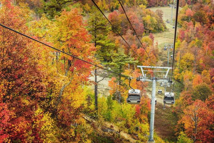 秋天的叶子白脸山